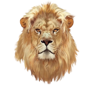 AdminLTE Logo